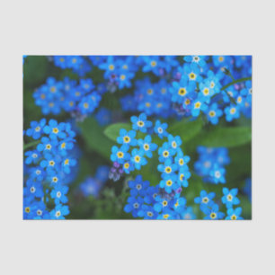 Forget-me-not Floral Tissue Paper