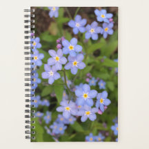 Forget-Me-Not Flower Planner