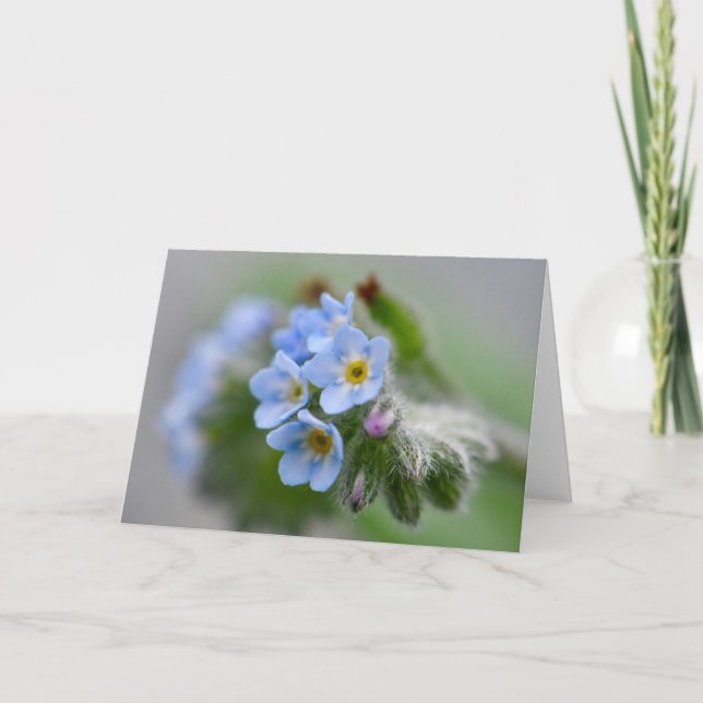 Forget Me Not Flowers Card (Front)