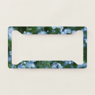 Forget Me Not Flowers License Plate Frame