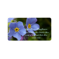 Forget-me-not Flowers, Myosotis