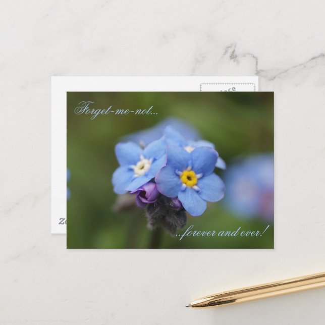 Forget-me-not forever and ever! postcard (Front/Back In Situ)