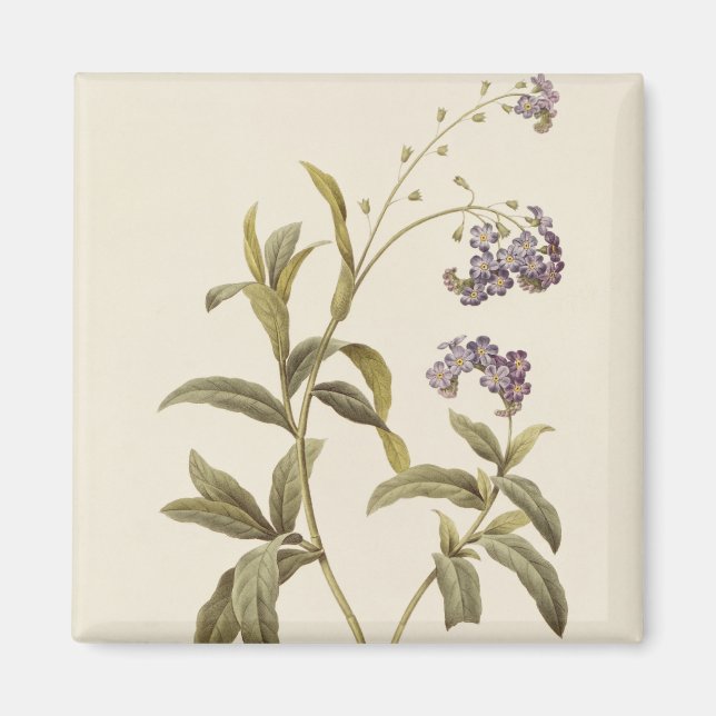 Forget-me-not Magnet (Front)