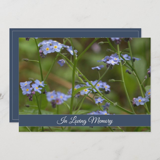 Forget-Me-Not Memorial Service Announcement (Front/Back)