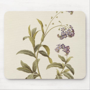 Forget-me-not Mouse Pad