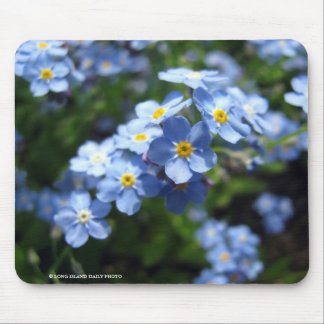 Forget-Me-Not Mouse Pad