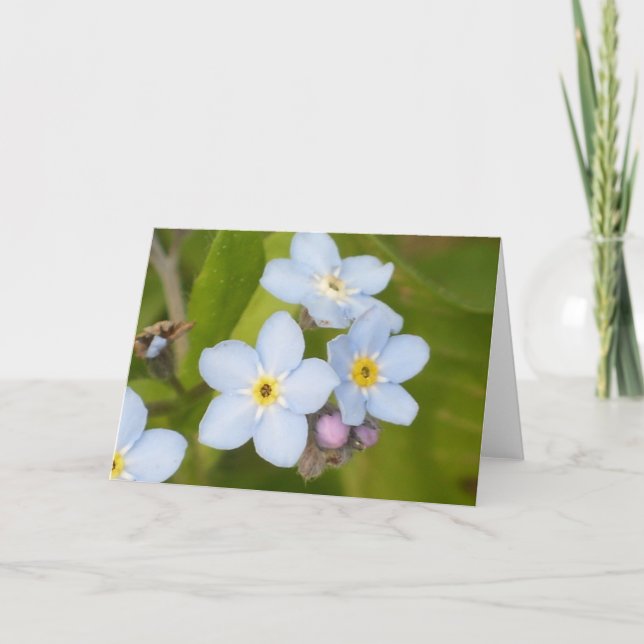 Forget-me-not notecard (Front)