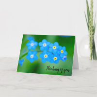 Forget-me-not Remembrance and Sympathy