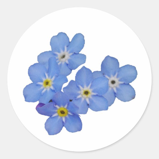 Forget Me Not Sticker (Front)
