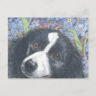 'Forget me not', the Border Collie said. Postcard