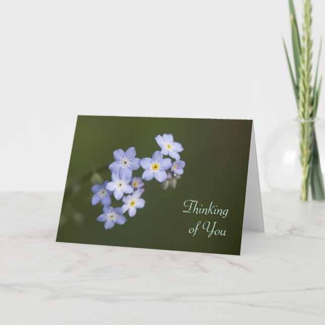 Forget-Me-Not, Thinking of You Card (Front)