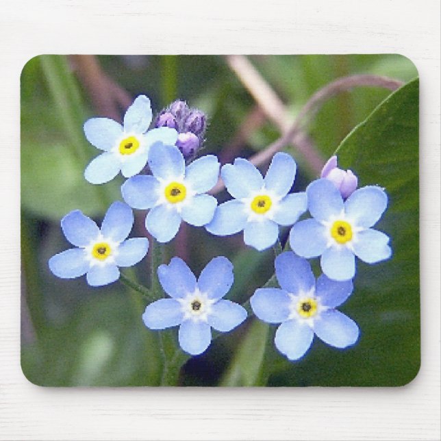 Forget Me Nots 2 Mousepad (Front)
