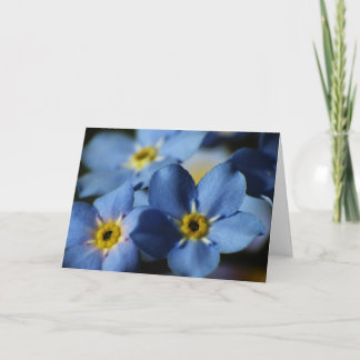 Forget-Me-Nots 7 Birthday Card
