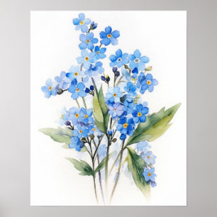 Forget Me Nots Flower Art Print Poster