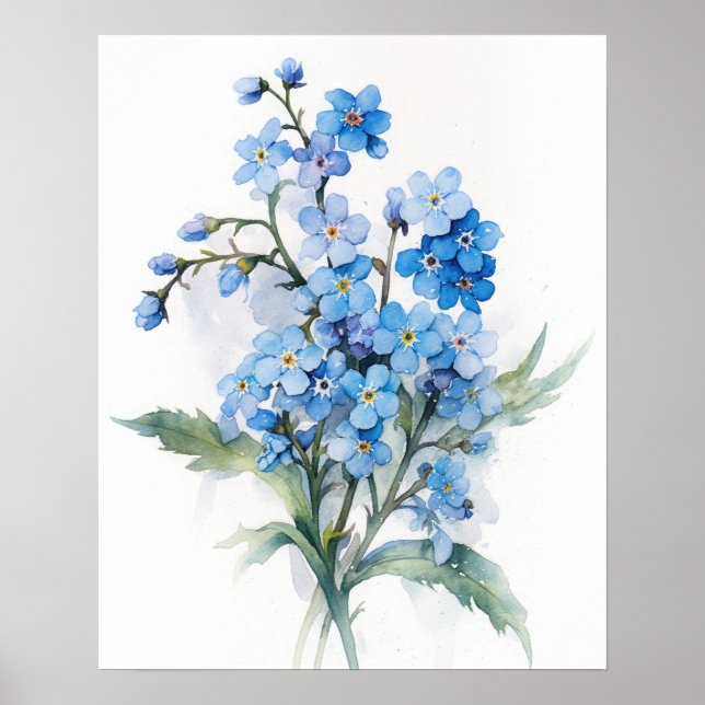 Forget Me Nots Flower Art Print Poster (Front)