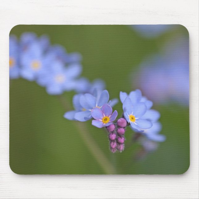 Forget Me Nots Mouse Pad (Front)