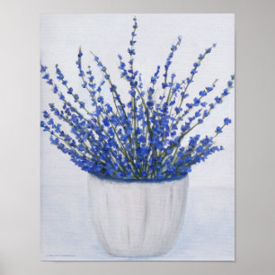 Forget Me Nots Poster