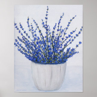 Forget Me Nots Poster