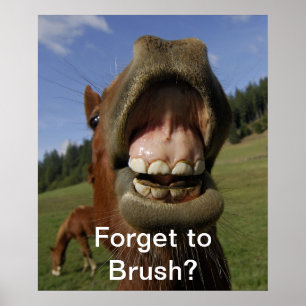 Forget to Brush? Poster