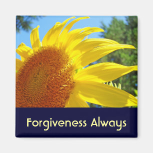 Forgiveness Always! magnets Sunlit Sunflowers