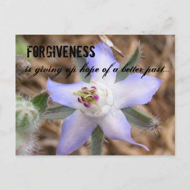 FORGIVENESS, is giving up hope of a b... Postcard (Front)