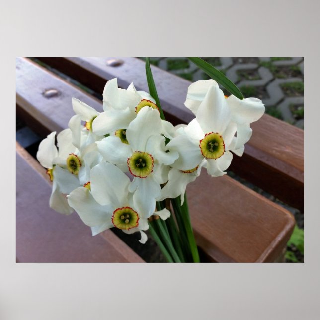 forgotten bouquet poster (Front)