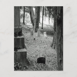 Forgotten Grave Postcard