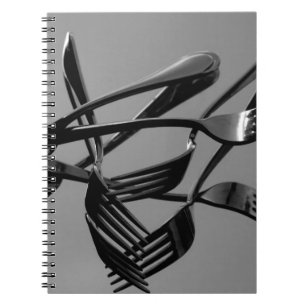Fork Levitation Notebook