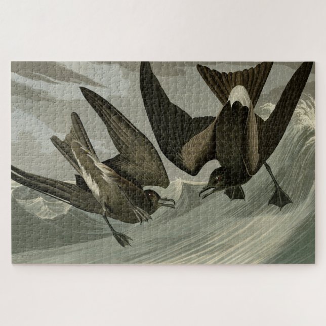 Fork-tail Petrel from Audubon's Birds of America Jigsaw Puzzle (Horizontal)