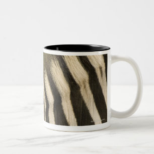 Fork-Tailed Drongo (Dicrurus adsimilis) riding Two-Tone Coffee Mug