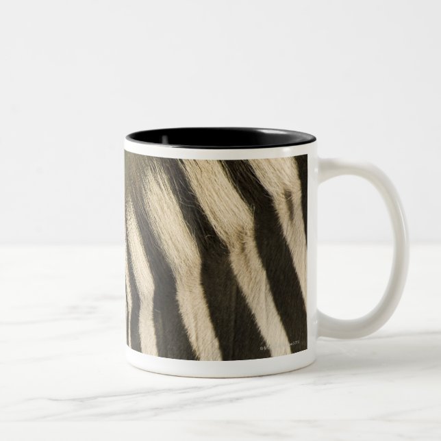 Fork-Tailed Drongo (Dicrurus adsimilis) riding Two-Tone Coffee Mug (Right)