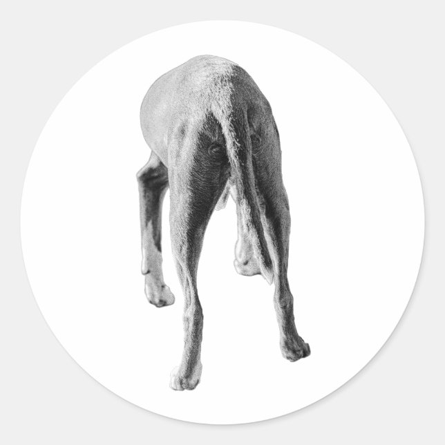 Form and Flow Classic Round Sticker (Front)