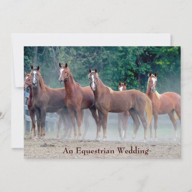Formal An Equestrian Wedding Invitation Horse Love (Front)