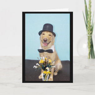 Formal Birthday Wishes Card