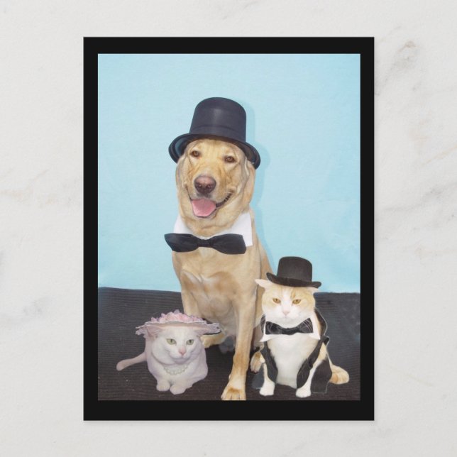 Formal Postcard (Front)