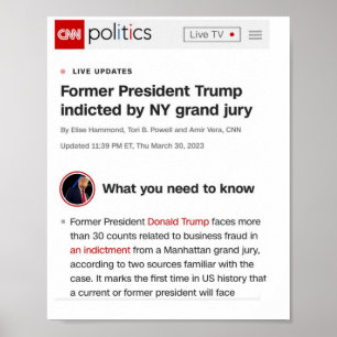 Former President Trump Indicted Poster