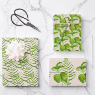 Forms in Green on a Wrapping Paper  Set 
