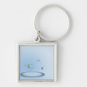 Formula, graph, math symbols 9 key ring