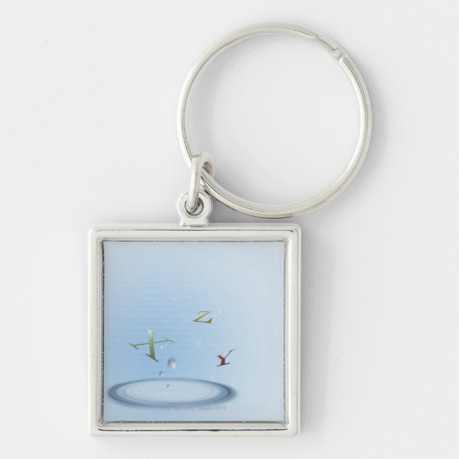 Formula, graph, math symbols 9 key ring (Front)