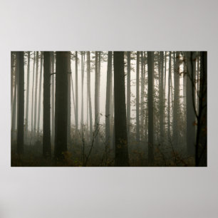 forrest and tree silhouettes in nature poster