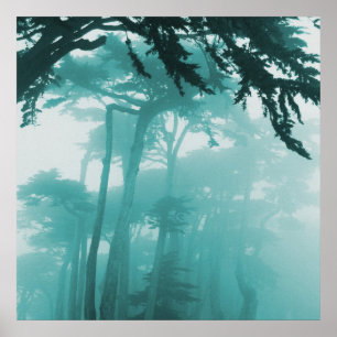 Forrest Fog photo painting Poster