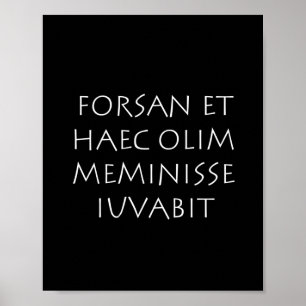 Forsan et haec olim meminisse iuvabit poster