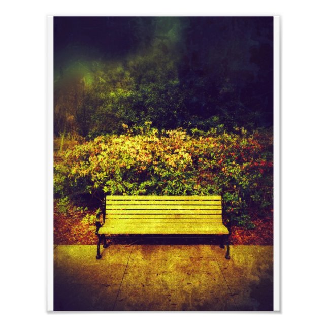 Forsyth Park Bench Photo Print (Front)