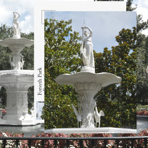 Forsyth Park Fountain Savannah GA Photographic Postcard