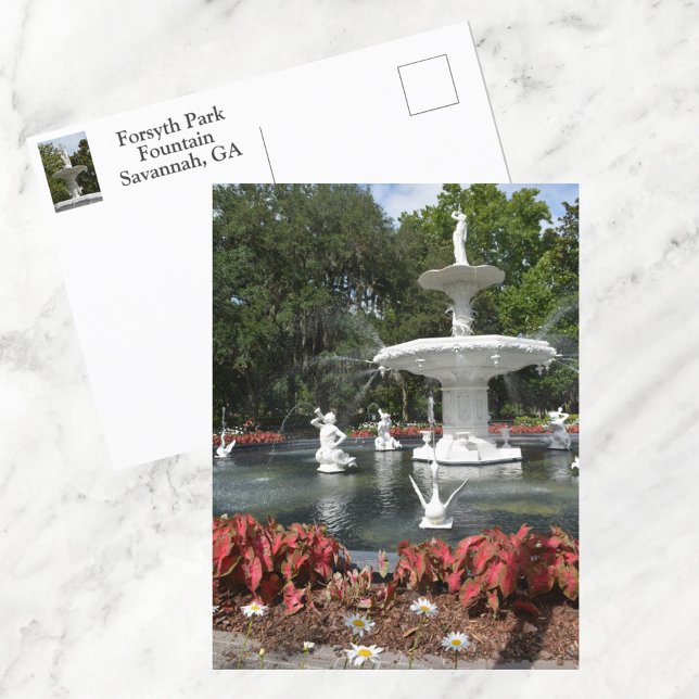 Forsyth Park Fountain Savannah GA Photographic Postcard (Creator Uploaded)