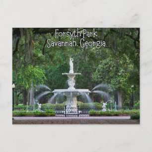 Forsyth Park Fountain, Savannah Georgia Postcard