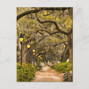 Forsyth Park - Photo by Savannah, Georgia (GA) USA Postcard