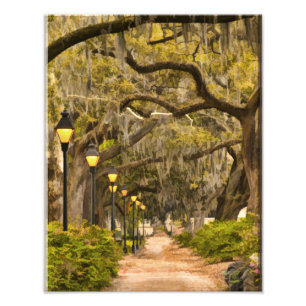 Forsyth Park - Photo, Savannah, Georgia (GA) USA Photo Print