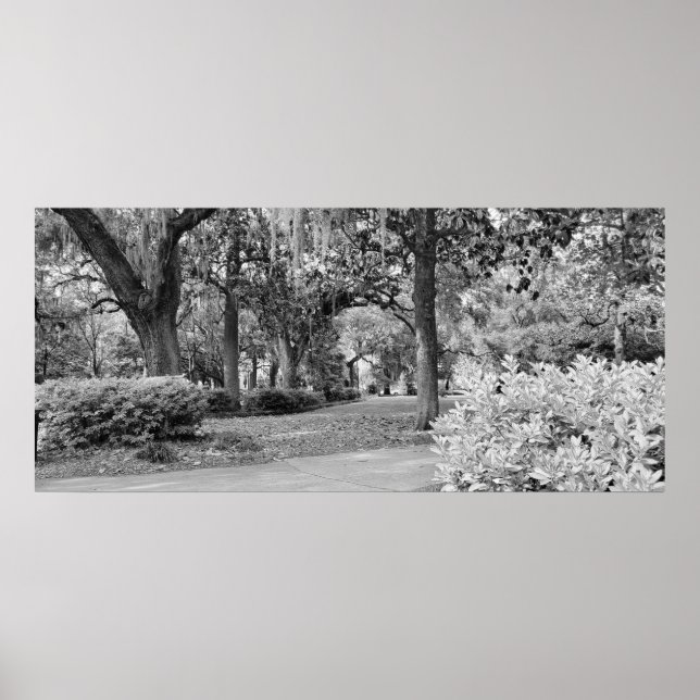 Forsyth Park, Savannah Ga Poster (Front)