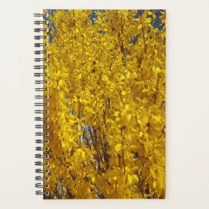 Forsythia Bush Up Close Planner